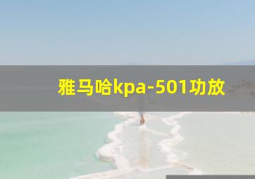 雅马哈kpa-501功放