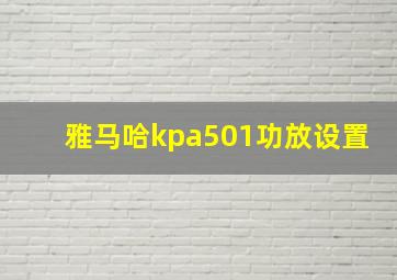 雅马哈kpa501功放设置