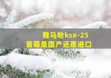 雅马哈ksx-25音箱是国产还是进口