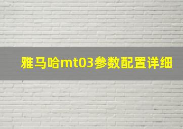 雅马哈mt03参数配置详细