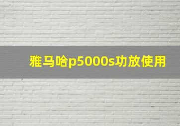 雅马哈p5000s功放使用