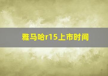 雅马哈r15上市时间