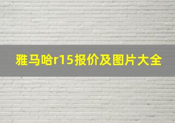 雅马哈r15报价及图片大全