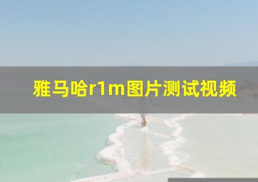 雅马哈r1m图片测试视频