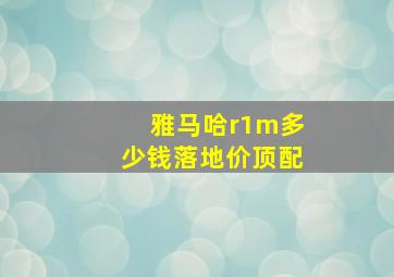 雅马哈r1m多少钱落地价顶配