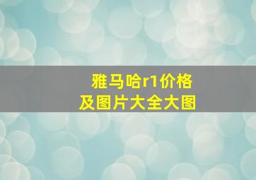 雅马哈r1价格及图片大全大图