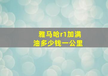 雅马哈r1加满油多少钱一公里