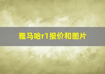 雅马哈r1报价和图片