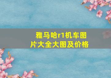 雅马哈r1机车图片大全大图及价格