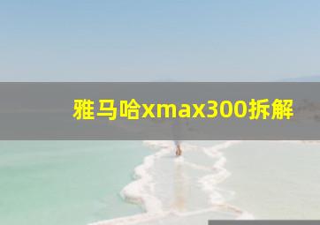 雅马哈xmax300拆解