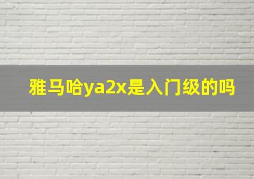 雅马哈ya2x是入门级的吗