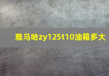 雅马哈zy125t10油箱多大