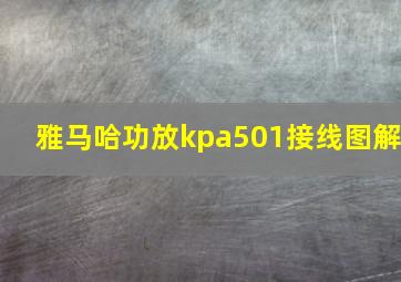 雅马哈功放kpa501接线图解