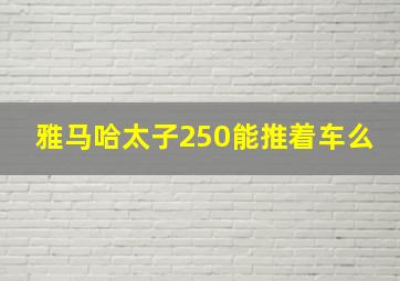 雅马哈太子250能推着车么