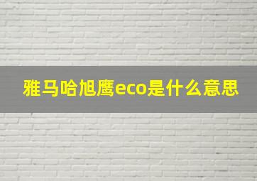 雅马哈旭鹰eco是什么意思