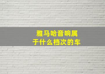 雅马哈音响属于什么档次的车