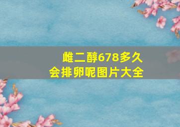 雌二醇678多久会排卵呢图片大全