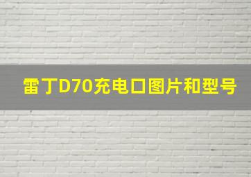 雷丁D70充电口图片和型号