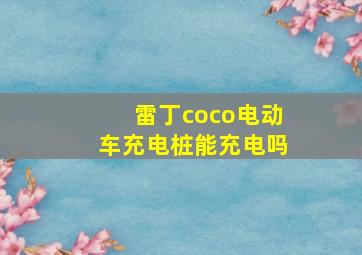 雷丁coco电动车充电桩能充电吗