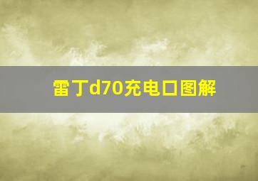 雷丁d70充电口图解