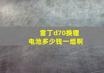 雷丁d70换锂电池多少钱一组啊