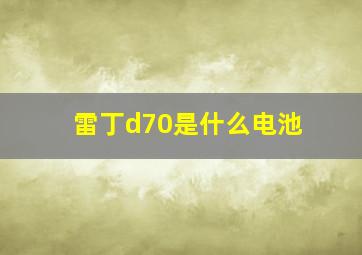 雷丁d70是什么电池