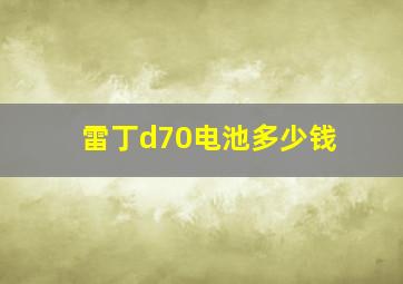 雷丁d70电池多少钱