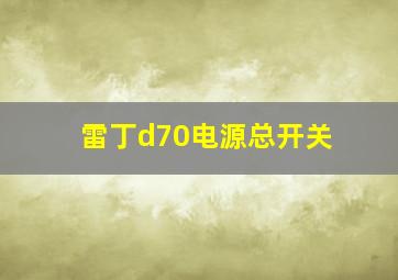 雷丁d70电源总开关