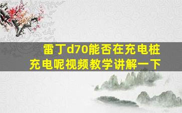 雷丁d70能否在充电桩充电呢视频教学讲解一下