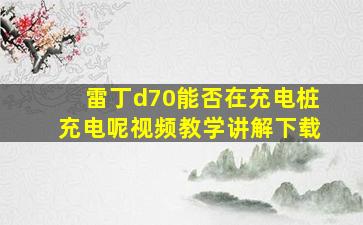 雷丁d70能否在充电桩充电呢视频教学讲解下载