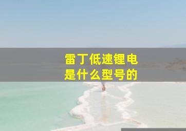 雷丁低速锂电是什么型号的