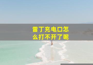 雷丁充电口怎么打不开了呢