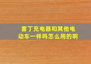 雷丁充电器和其他电动车一样吗怎么用的啊