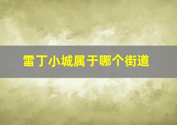 雷丁小城属于哪个街道