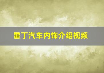 雷丁汽车内饰介绍视频