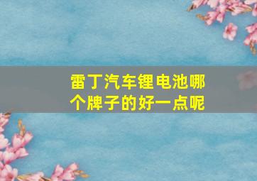 雷丁汽车锂电池哪个牌子的好一点呢