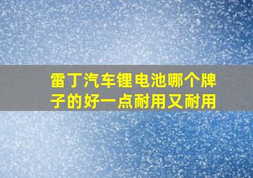 雷丁汽车锂电池哪个牌子的好一点耐用又耐用