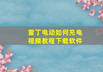 雷丁电动如何充电视频教程下载软件