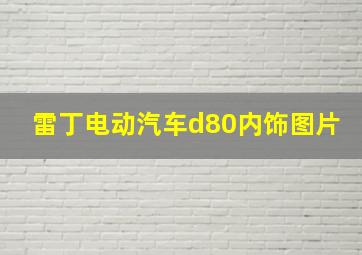 雷丁电动汽车d80内饰图片