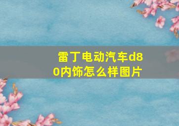 雷丁电动汽车d80内饰怎么样图片