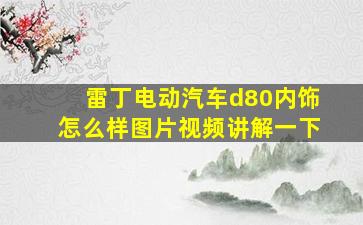 雷丁电动汽车d80内饰怎么样图片视频讲解一下