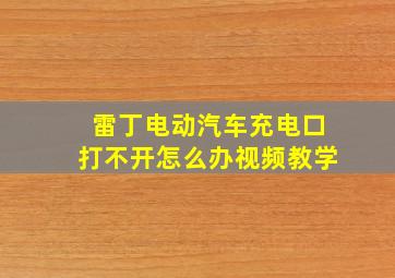 雷丁电动汽车充电口打不开怎么办视频教学