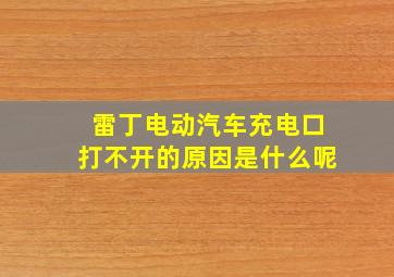 雷丁电动汽车充电口打不开的原因是什么呢