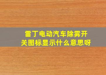 雷丁电动汽车除雾开关图标显示什么意思呀