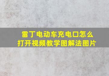 雷丁电动车充电口怎么打开视频教学图解法图片