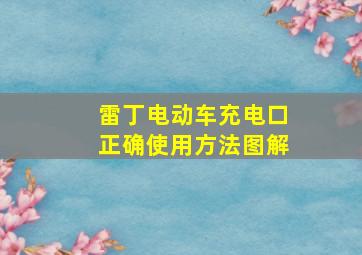 雷丁电动车充电口正确使用方法图解