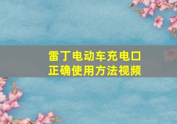 雷丁电动车充电口正确使用方法视频