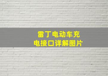 雷丁电动车充电接口详解图片