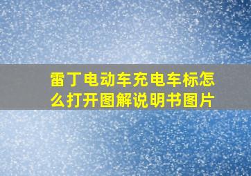 雷丁电动车充电车标怎么打开图解说明书图片