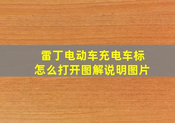 雷丁电动车充电车标怎么打开图解说明图片